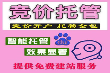 探索sem推广竞价托管的成功之路——以某企业为例